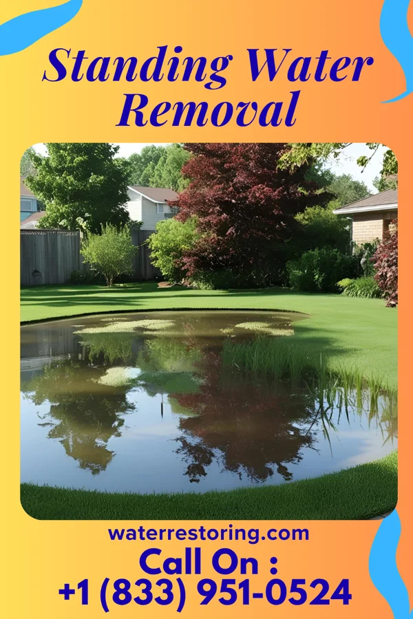 Standing Water Removal in Krotz Springs, LA